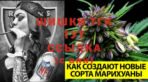 меф Новодвинск