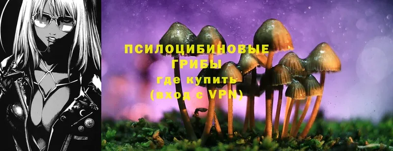 Галлюциногенные грибы MAGIC MUSHROOMS  Кирс 