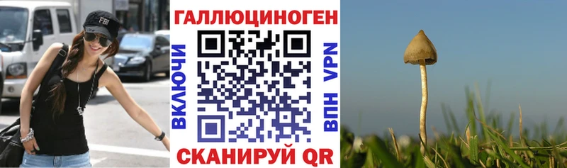 Галлюциногенные грибы мухоморы  Кирс 